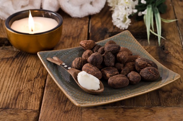 Cân nhắc lợi ích của bơ cacao và bơ hạt mỡ