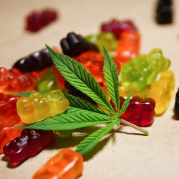 Celine Dion CBD Gummies Canada