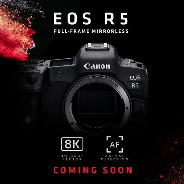 Chào đón siêu phẩm EOS R5 nhà Canon