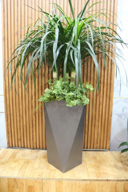 Chậu Composite Cao cấp Premier Diamond ROS 2,990,000₫