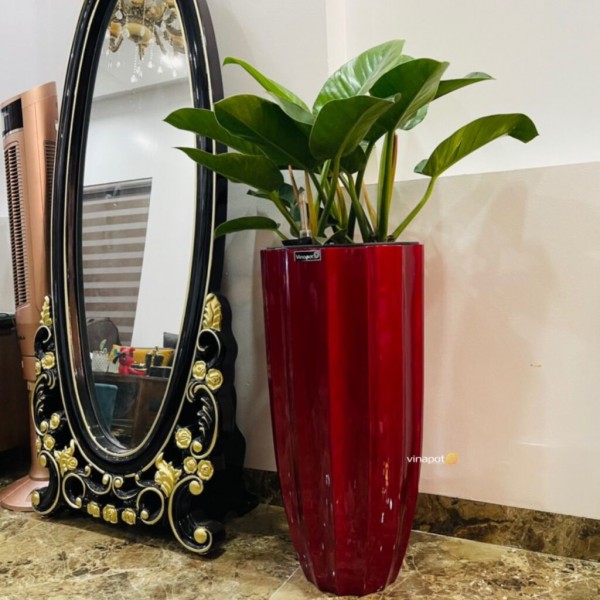 Chậu Composite Cao cấp Premier Garnet ROS