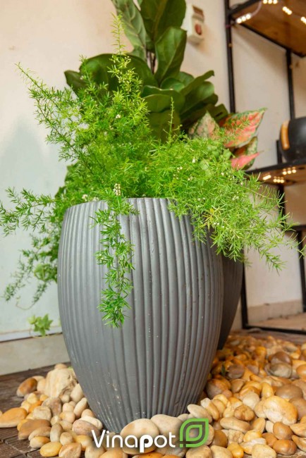 Chậu xi măng nhẹ fiber xuất khẩu Pear 400,000₫ – 600,000₫