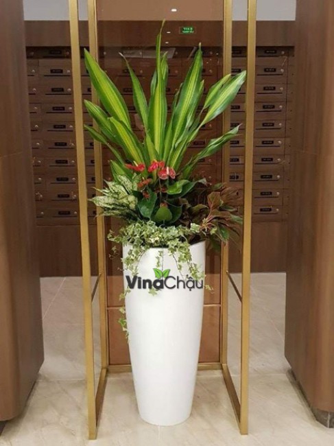 Chia sẻ chậu Composite phù hợp trồng cây cho mọi gia đình