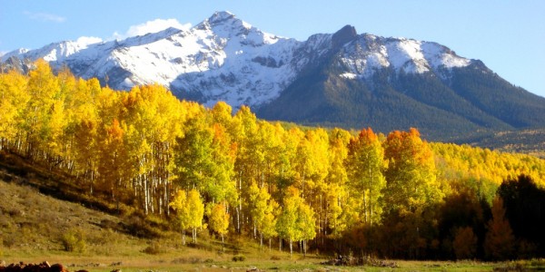 Chiêm ngưỡng sắc thu vàng rực rỡ của Colorado