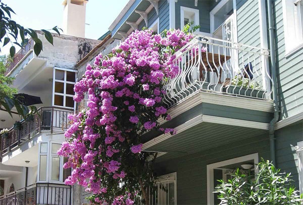 Chỉn chu trong từng chi tiết trang trí ở mặt tiền nhà