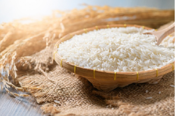 Cho những ai cần mua gạo ST25 gạo Việt Nam ngon nhất thế giới ST25
