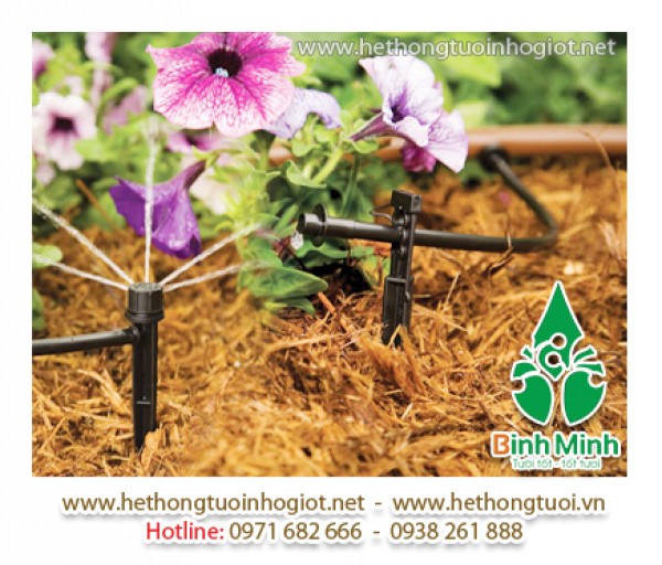 Công ty nhập khẩu hệ thống tưới nhỏ giọt,tưới nhỏ giọt tại hà nội,tưới nhỏ giọt tại gốc