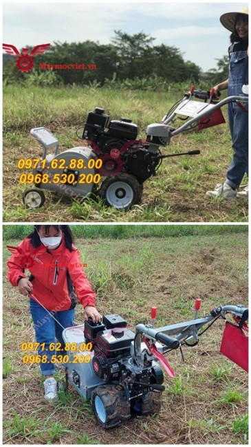 Công ty phân phối máy cắt cỏ Nhật Bản chính hãng giá rẻ