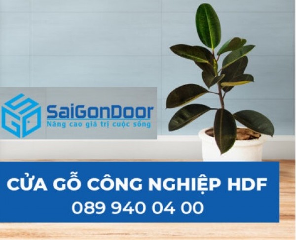 Cửa nhựa cao cấp