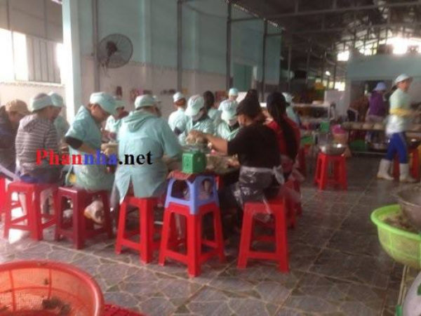 Cung cấp chả cá sỉ lẻ ở Nghệ An Hà Tĩnh