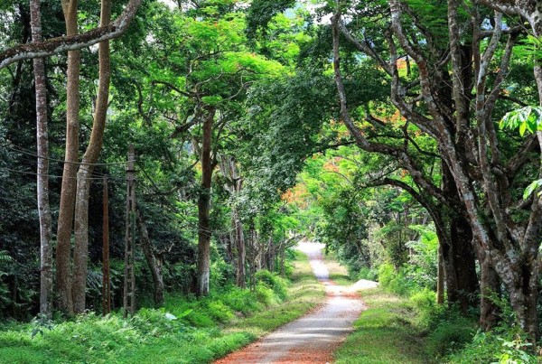 Cùng Cúc Phương Resort trở về với thiên nhiên 