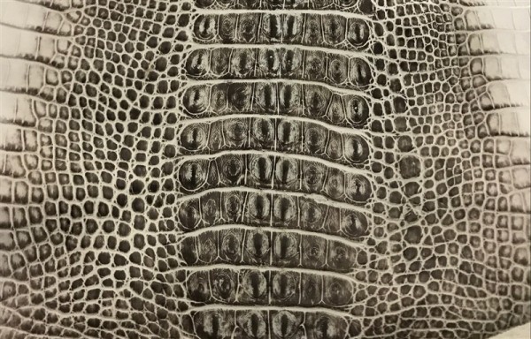 Da cá sấu thật ra không khó để nhận biết