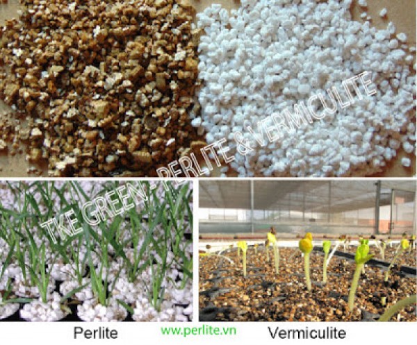 Đá perlite và các ứng dụng