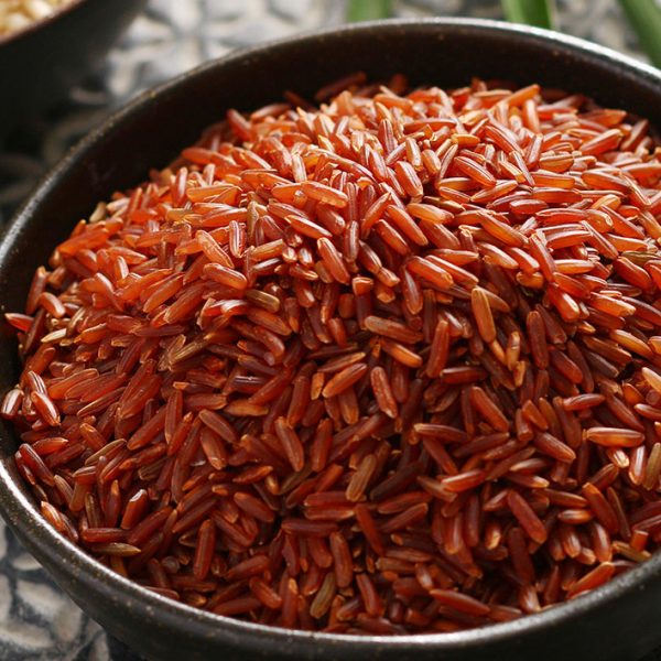 Đại lý gạo EcoLife chuyên cung cấp gạo sỉ và lẻ toàn quốc