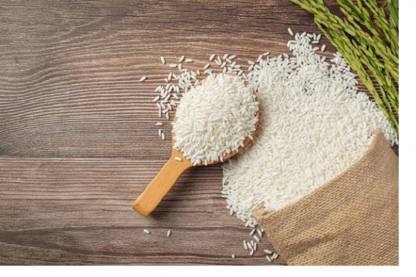Đại lý gạo EcoLife - tiên phong trong xuất khẩu gạo ST25