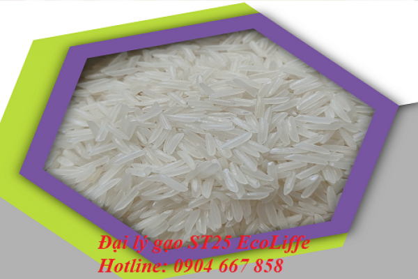 Đại lý gạo TP HCM mua gạo online, giao gạo tận nhà