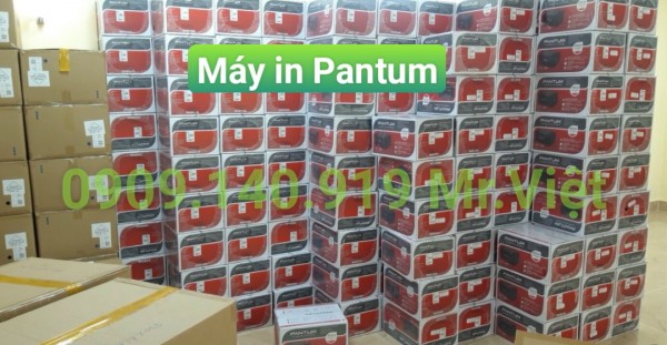 Đại lý Việt Thành phân phối Máy in Pantum giá rẻ nhỏ gọn tại TP HCM 