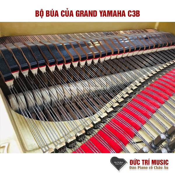 Đàn Piano Điện Yamaha DGX 670 - Đức Trí Music