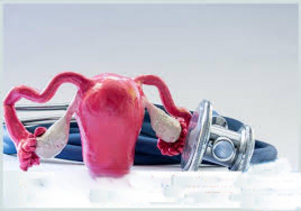 Dấu hiệu ứ dịch lòng tử cung