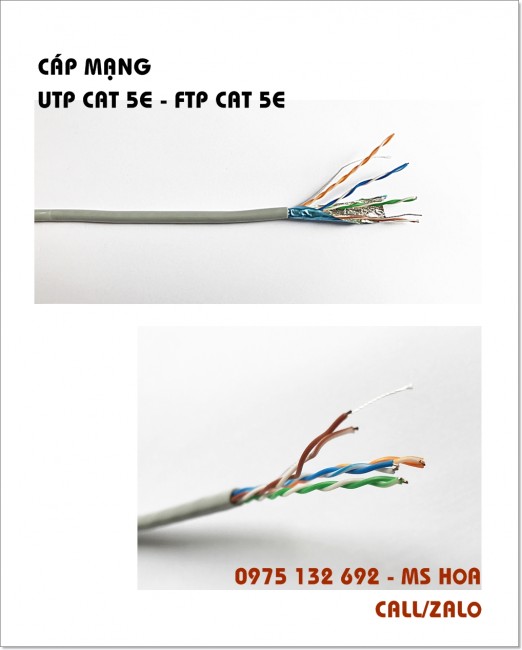 Dây cáp mạng FTP CAT 5E, UTP CAT 5E loại thường và chống nhiễu
