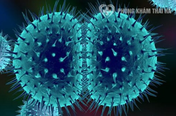 Địa chỉ điều trị phì đại tử cung