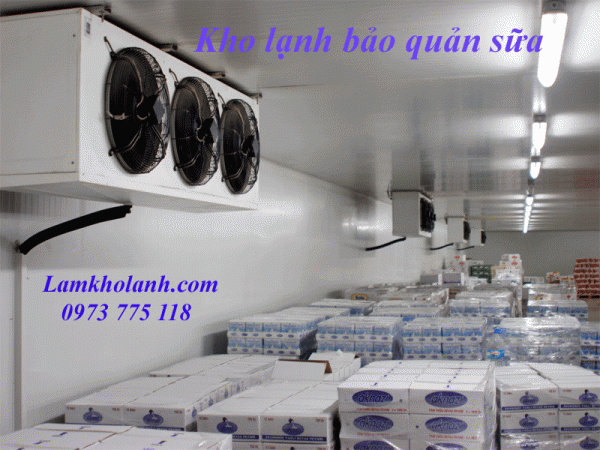 Địa chỉ uy tín lắp đặt kho lạnh công nghiệp giá tốt nhất tại Hà Nội