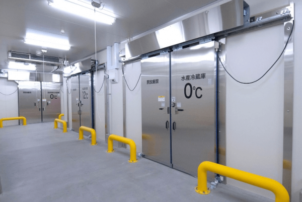 Dịch vụ sửa kho đông lạnh uy tín Quận 6 | 0964 249 879 