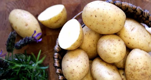 Điều kỳ diệu từ khoai tây dành cho làn da