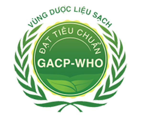 Dược liệu đạt tiêu chuẩn GACP-WHO 
