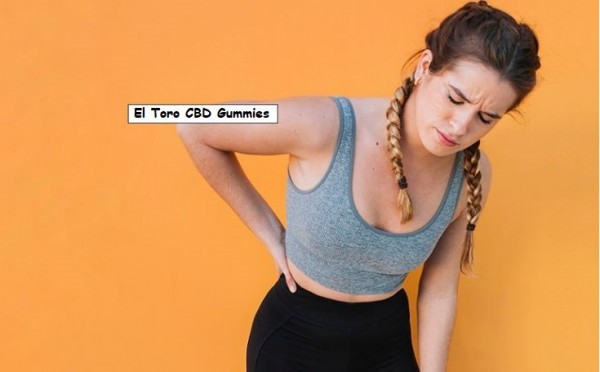 El Toro CBD Gummies Reviews- Shark Tank Results or Where to Buy