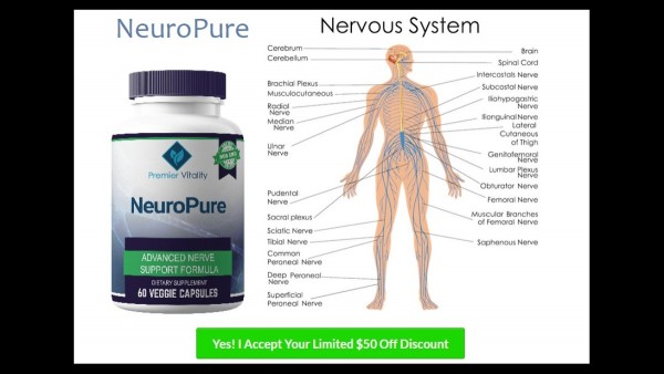 Elevate Your Cognitive Health with NeuroPure Premier Vitality