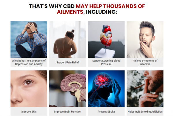 Everything You Need To Know About Condor CBD Gummies.