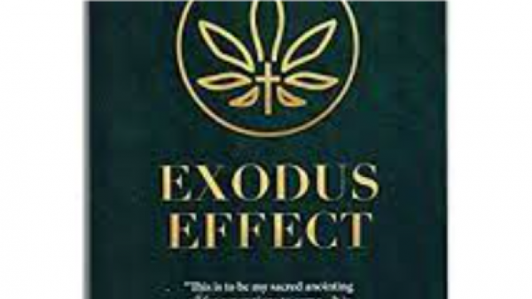 Exodus Effect – Price, Benefits, Uses, Reviews And Results?