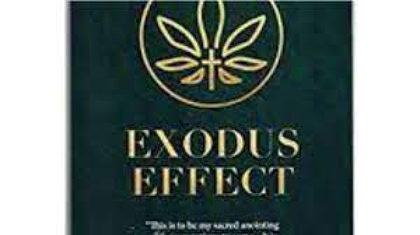 Exodus Effect - [PROS & CONS] Shocking News Reported About Side Effects!