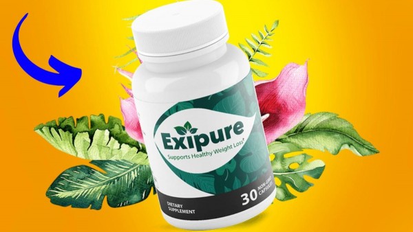 Five Ingenious Ways You Can Do With Exipure?