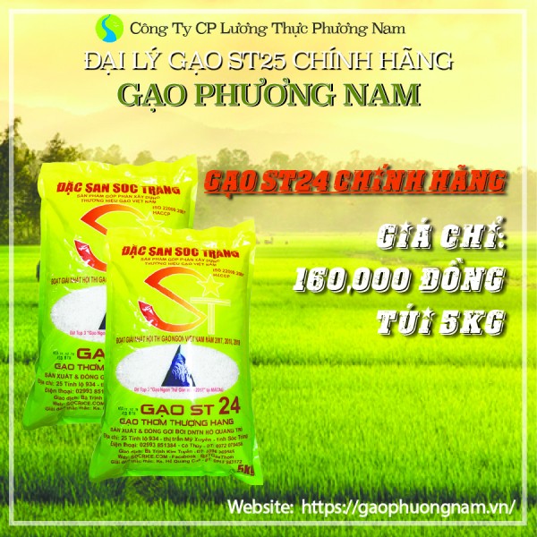 Gạo Sóc Trăng ST24 (ông Cua) Chính Hãng - Túi 5kg