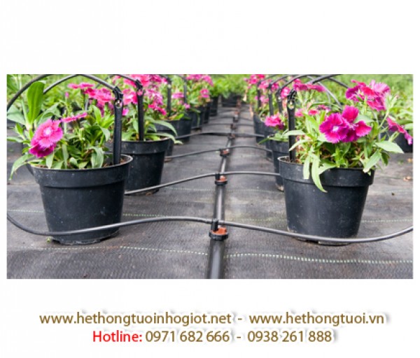 Giá bán hệ thống tưới nhỏ giọt, thiết bị tưới nhỏ giọt azud, tưới nhỏ giọt giá rẻ tại Hà Nội