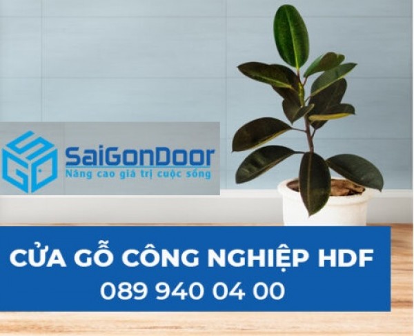 Giá cửa gỗ phòng ngủ tại Bình Định chỉ từ 1.999.000đ
