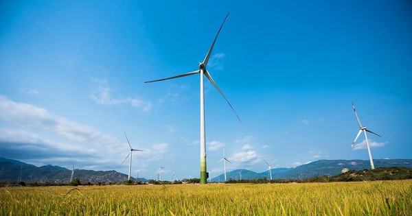 Giải pháp đẩy nhanh tiến độ giải tỏa công suất các dự án điện gió