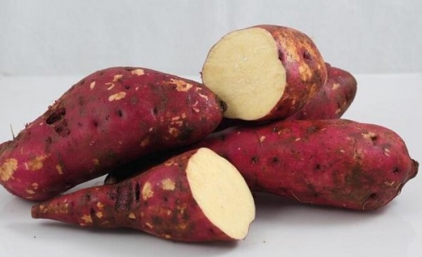 Giảm cân bằng khoai lang có hiệu quả bất ngờ