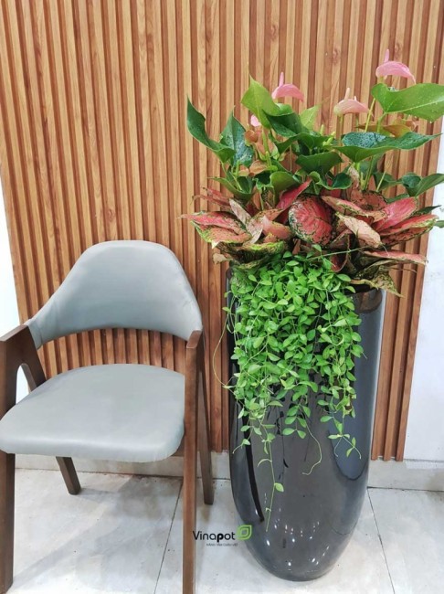 Giới thiệu chậu Composite từ Vinapost