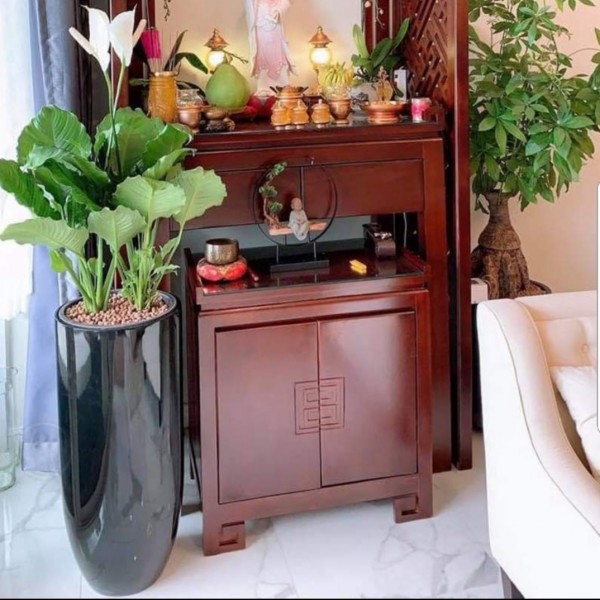 Giới thiệu mẫu chậu tự tưới cây ROS từ Vinapot