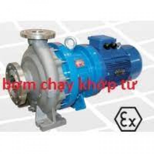 Giới thiệu về máy bơm đầu inox 316 lượng lớn không bị rò rỉ