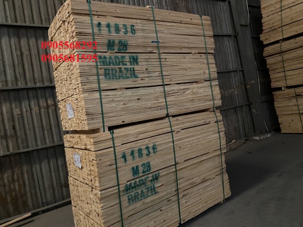 Gỗ thông nhập khẩu đã về kho số lượng lớn giá rẻ 0905681595