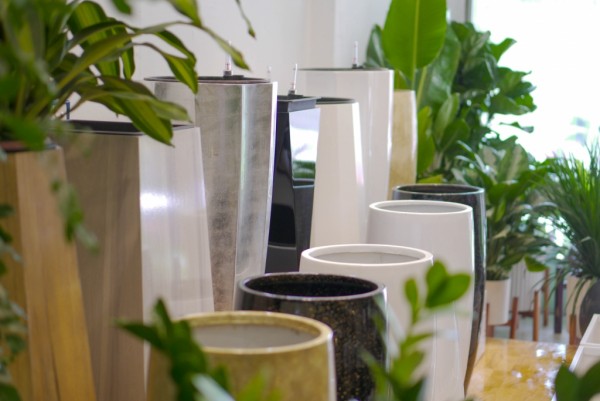 Gợi ý mẫu chậu cây composite