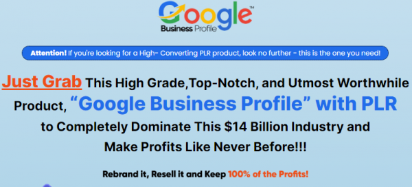 Google Business Profile PLR OTO 2023: Full 9 OTO Details + 5,000 Bonuses + Demo