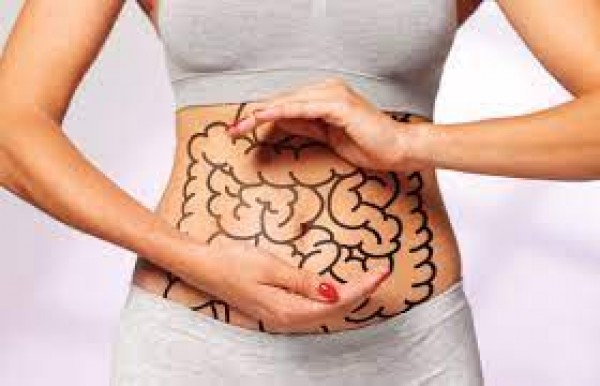 Gut Health Reviews - The Science of Gut Health & Why This Time Matters!