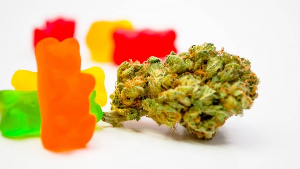 Harrier CBD Gummies Reviews:- Learn its Effective Working!