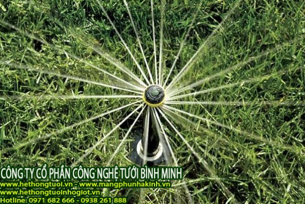 Hệ thống tưới cảnh quan thò thụt, hệ thống tưới sân vườn, hệ thống tưới cây tự động