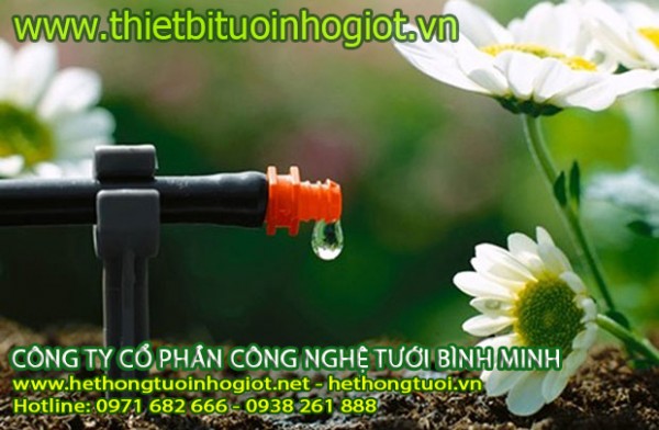 Hệ thống tưới nhỏ giọt cây trái, tưới nhỏ giọt cho cây cam